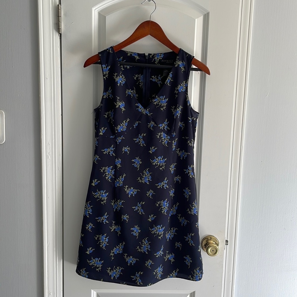 Express women’s dress